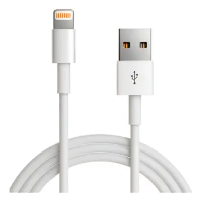 Cable Lightning / Usb A Macho 2Mts 2,1A Arwen