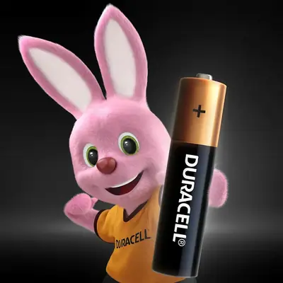 Detalles accesorios de Pila Aaa Alcalina Duracell Blister X2