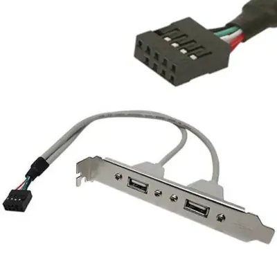 Placa Slot Trasero Usb 2.0 Con 2 Salidas Conector X 1