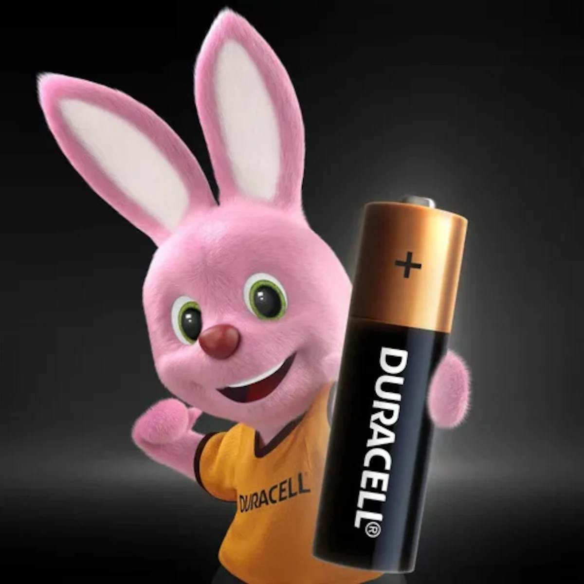 Miniatura 3 de Pilas y baterias alcalinas marca Duracell