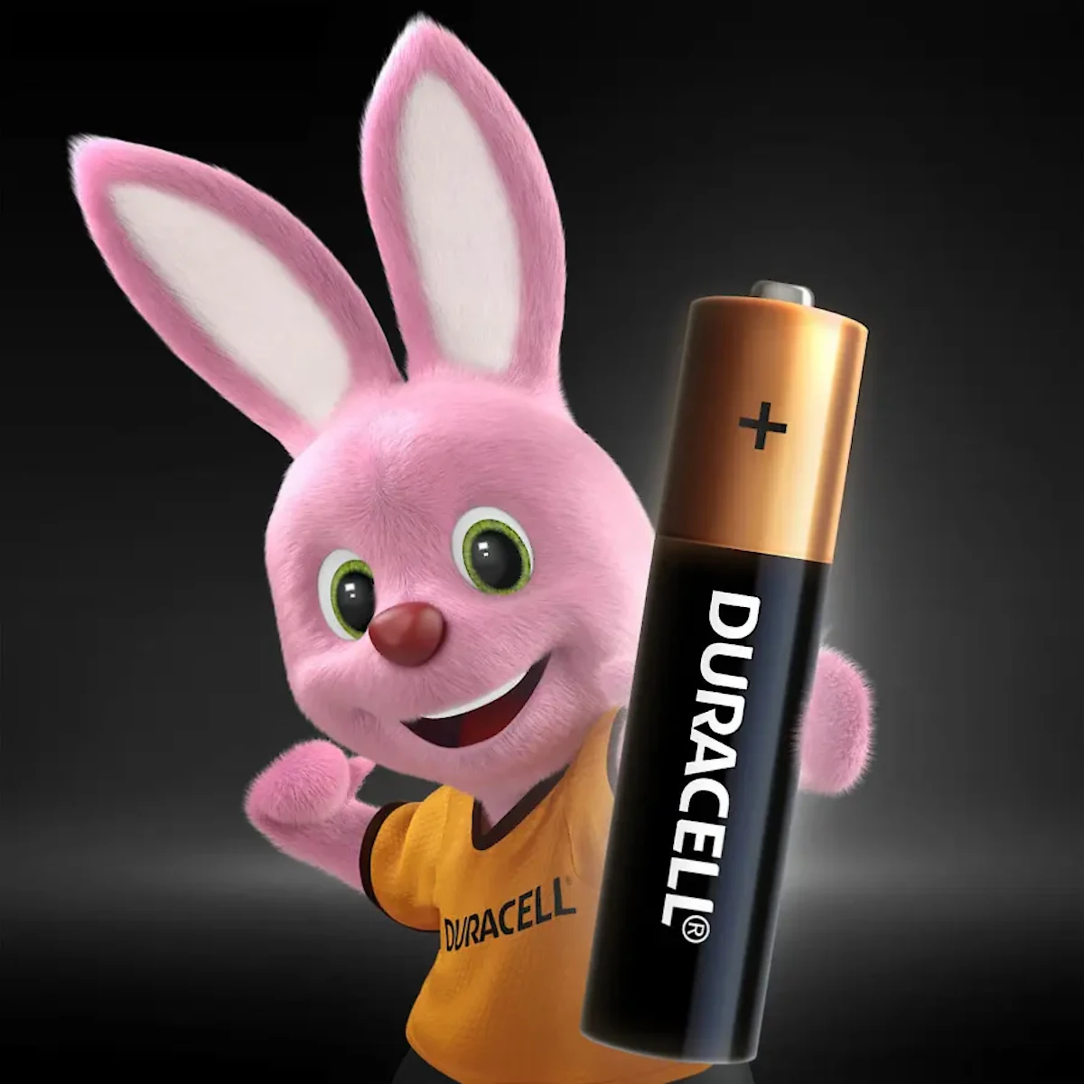 Miniatura 3 de Pilas y baterias alcalinas marca Duracell