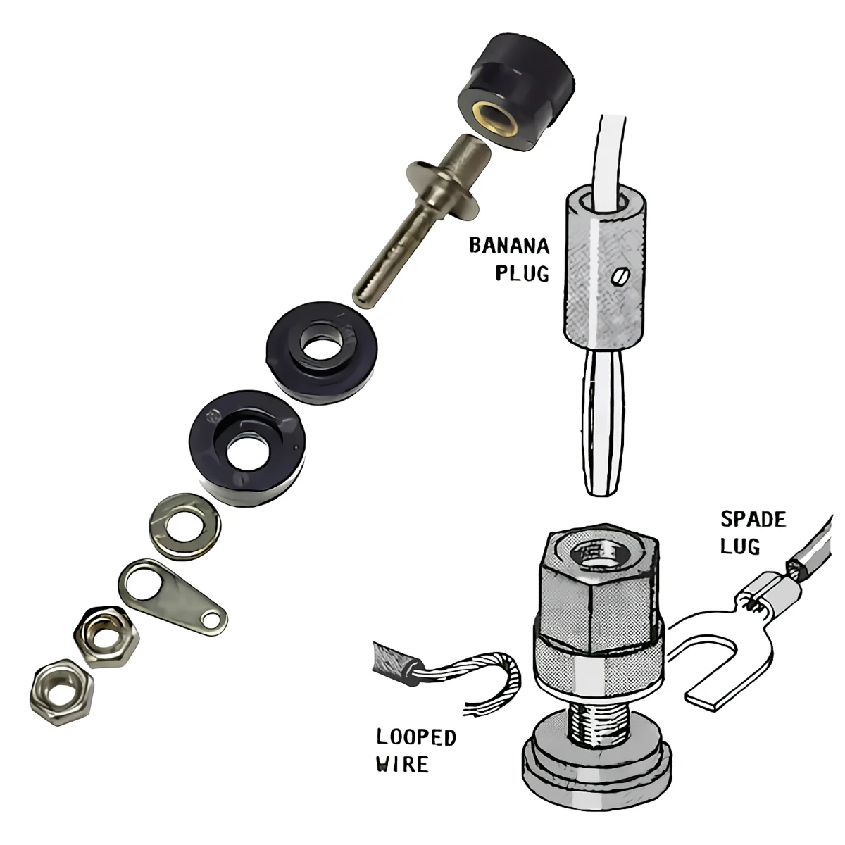 Miniatura 2 de Banana: fichas y adaptadores marca Arwen modelo T-37/N